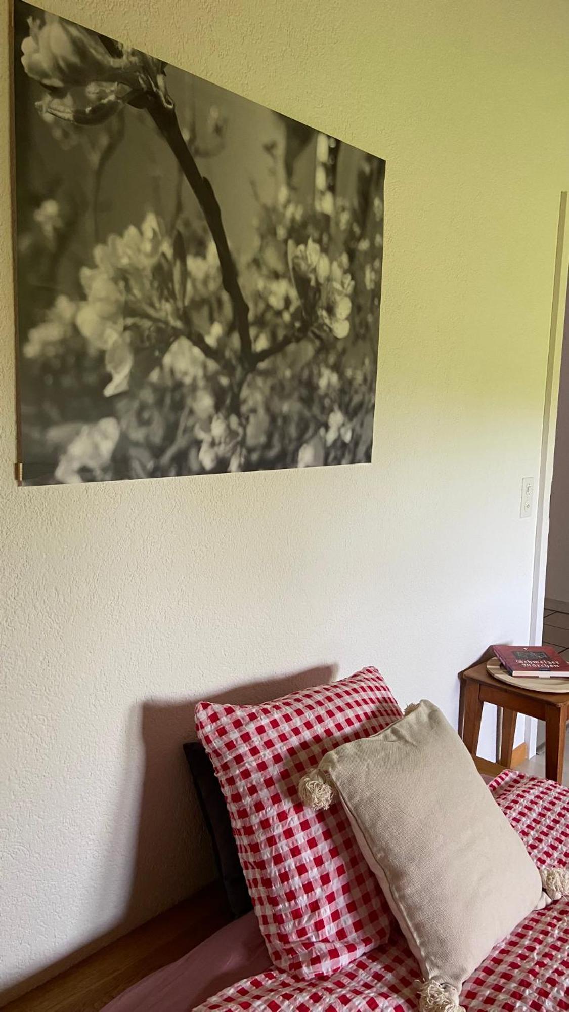 Naturnahe Familienwohnung Ruschegg Eksteriør bilde