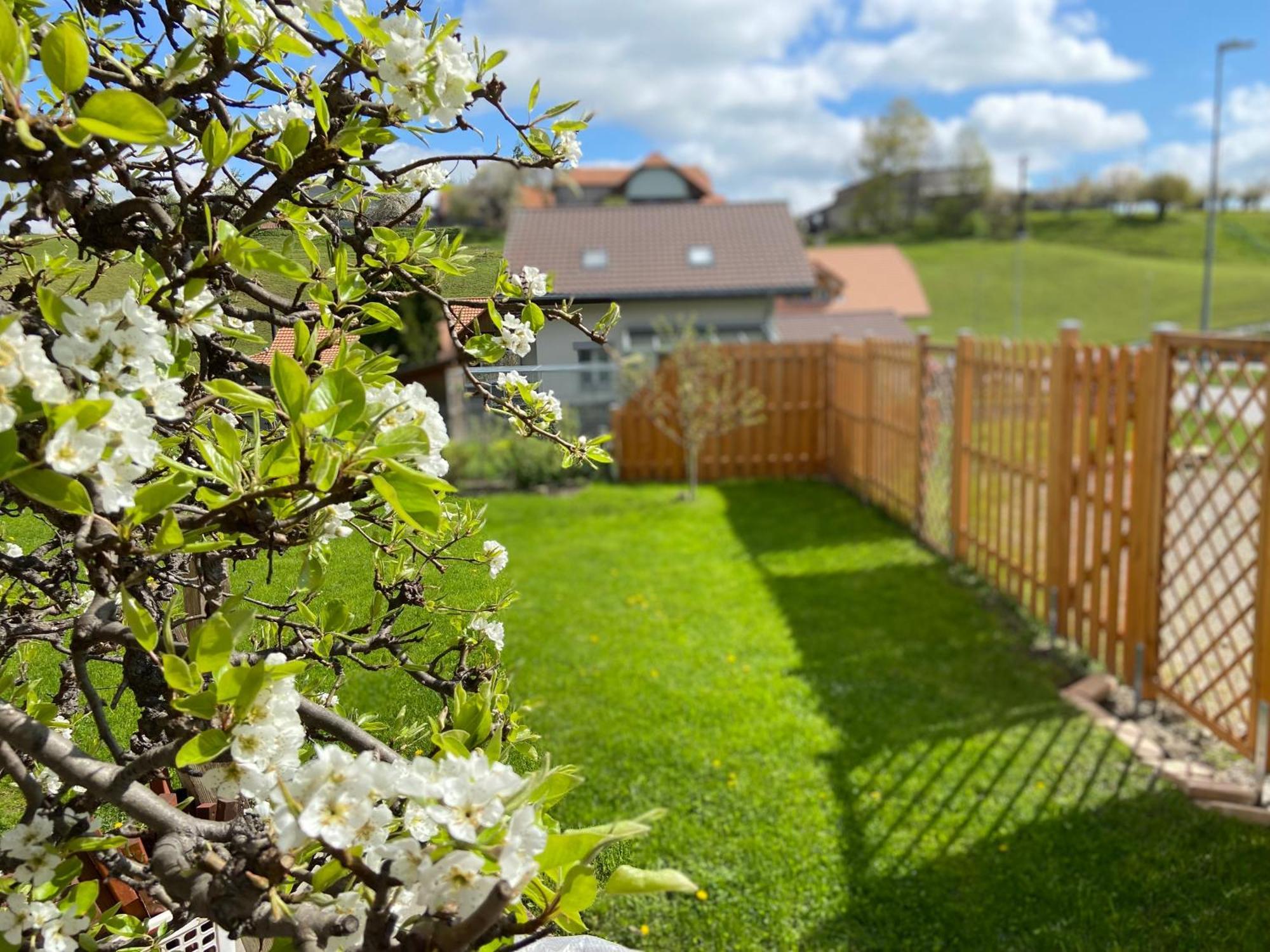 Naturnahe Familienwohnung Ruschegg Eksteriør bilde